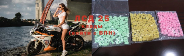 спиды Богданович