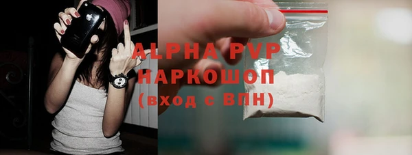 спиды Богданович