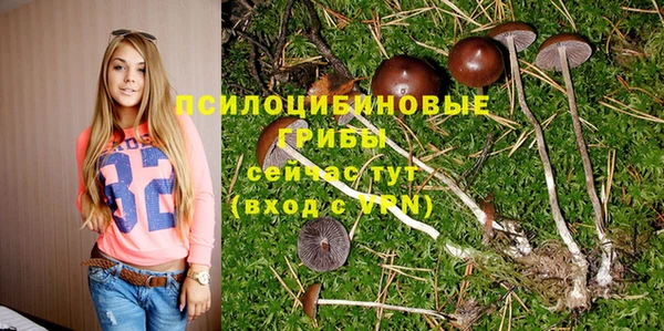 ALPHA PVP Богородицк