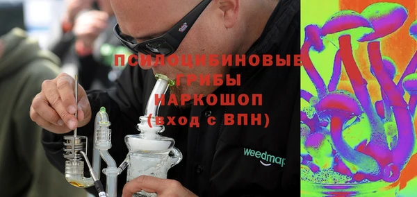 спиды Богданович