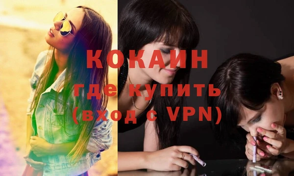 спиды Богданович